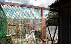 Забор из пластиковой сетки рабицы 60 метров