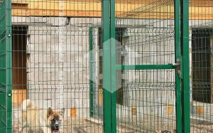 Секционный сетчатый 3Д забор 10 метров