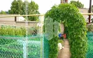 Забор из пластиковой сетки рабицы 50 метров